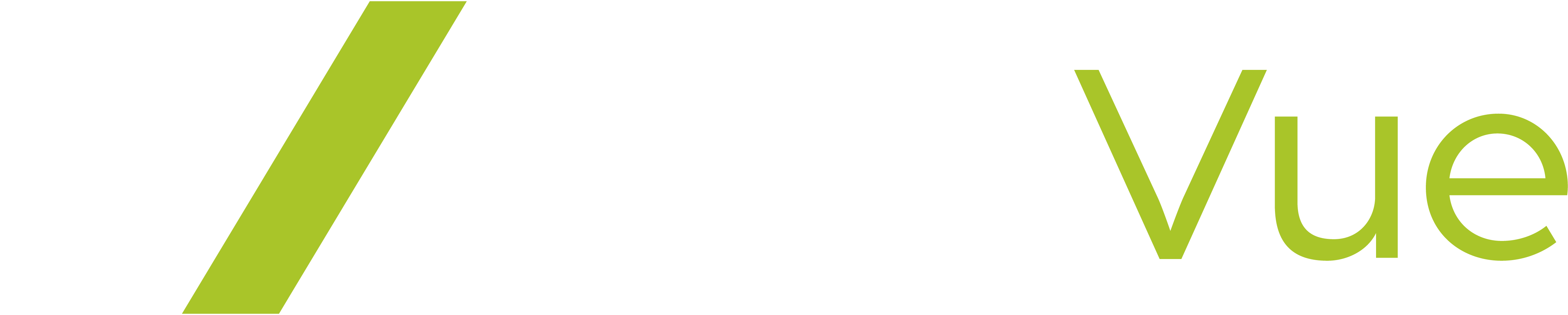 EpicVue Logo