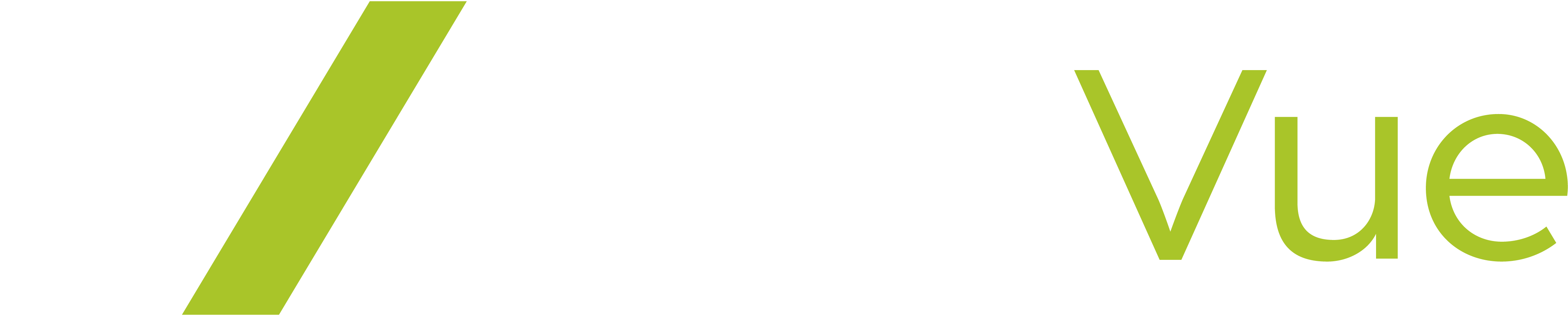 EpicVue Logo Light